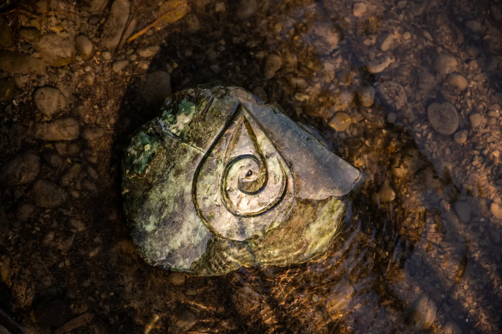 Home Records STOP 2022 29