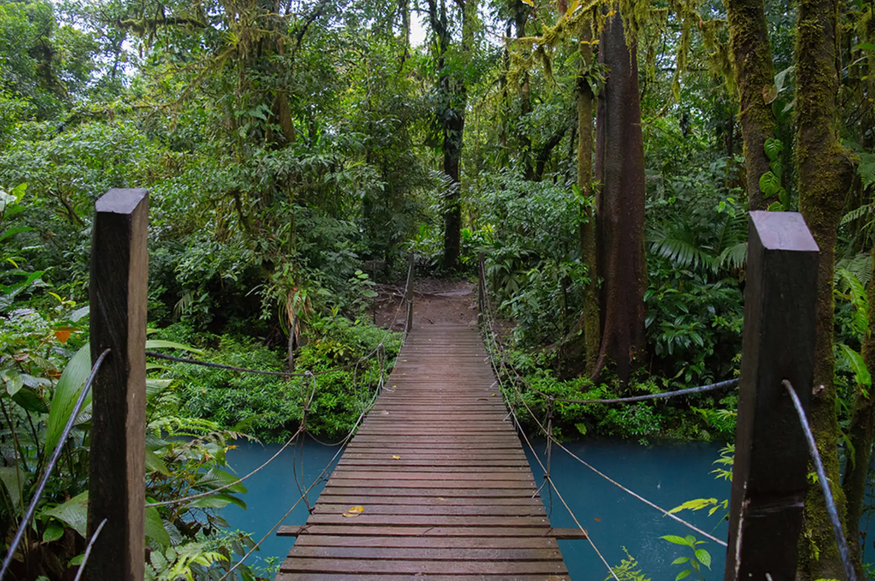 2 Prevention med web