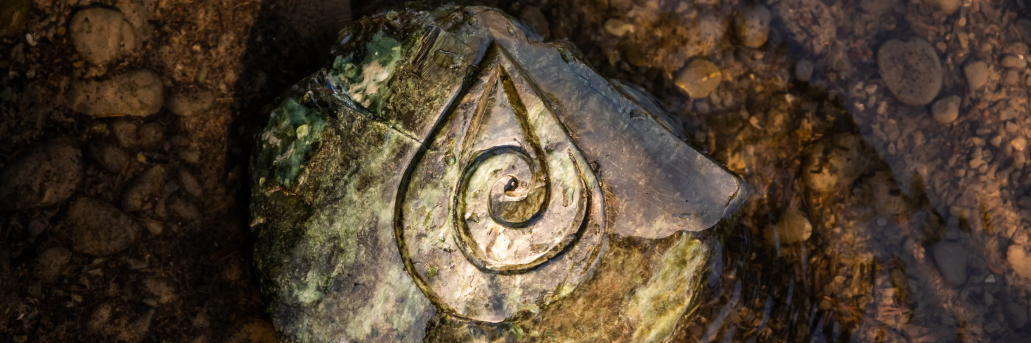 Home Records STOP 2022 29