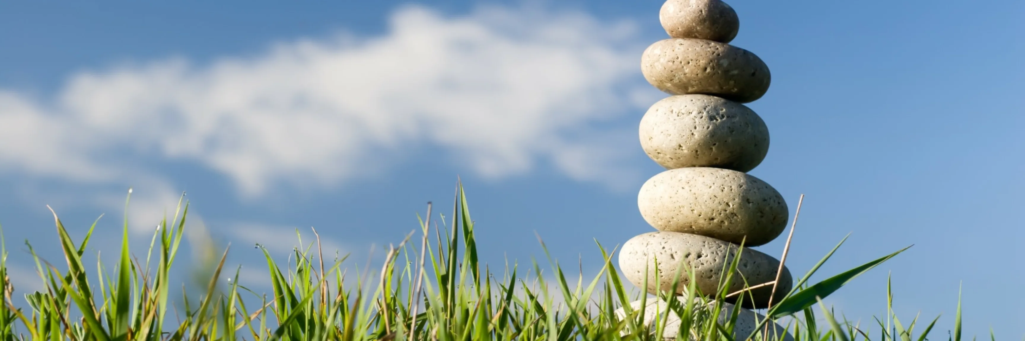 Tools to help cropped